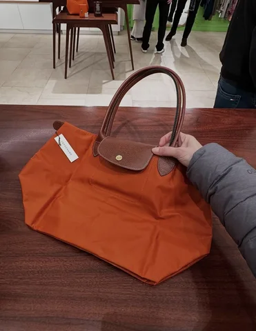 LONGCHAMP, le pliage original, medium long handle bag, no long strap, brick brown